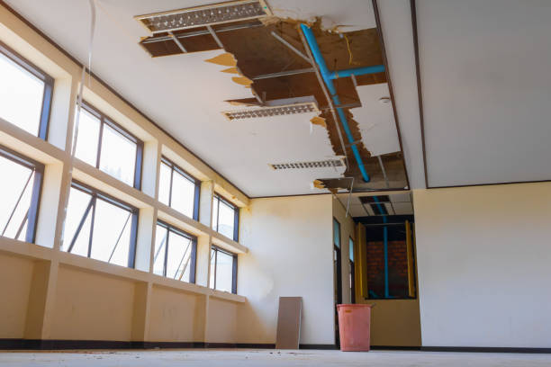 Best Water damage contractors near me  in Lake Orion, MI