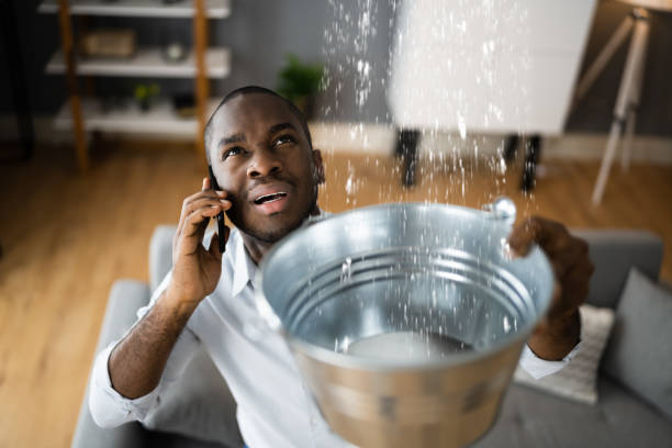 Best Emergency water damage restoration  in Lake Orion, MI