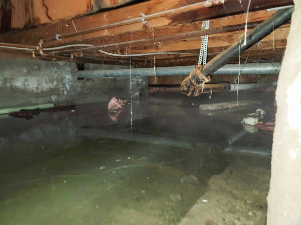 Best Residential water damage restoration  in Lake Orion, MI