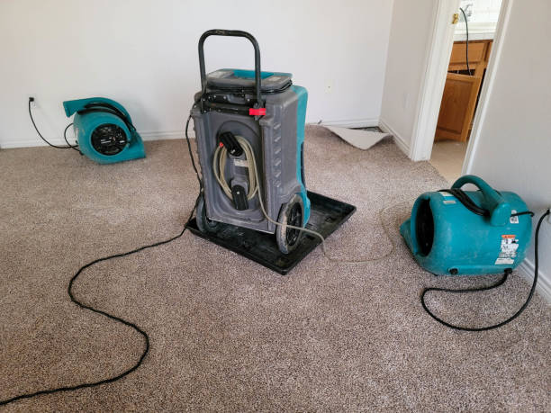 Best Flooded house restoration  in Lake Orion, MI