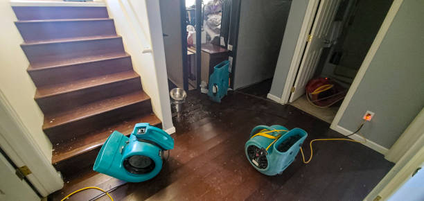 Best Water damage restoration near me  in Lake Orion, MI