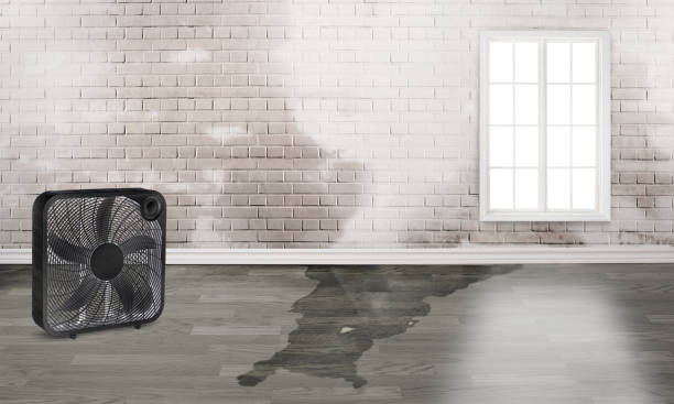 Lake Orion, MI Water damage restoration Company