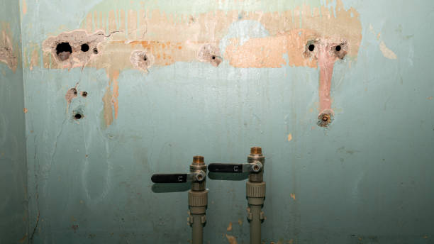 Best Water damage restoration process  in Lake Orion, MI