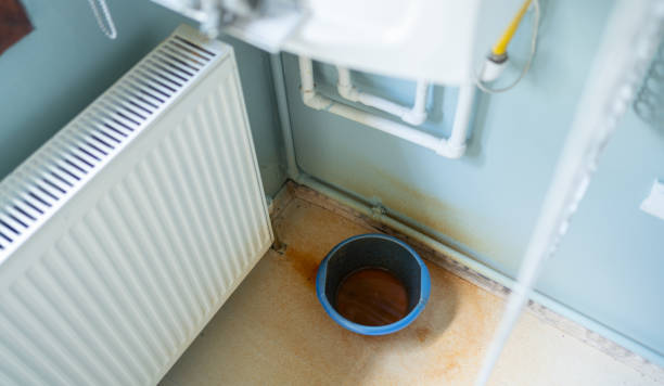 Best Professional water damage repair  in Lake Orion, MI