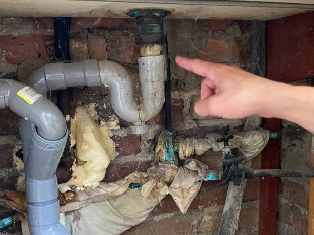 Best Carpet water damage restoration  in Lake Orion, MI