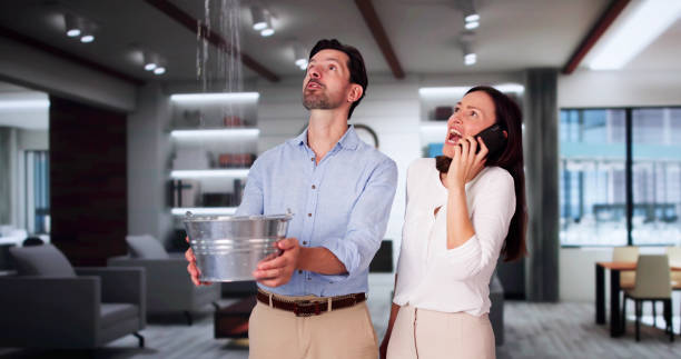 Best Flood restoration services  in Lake Orion, MI