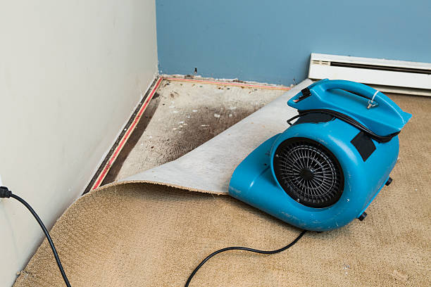 Best 24/7 water damage repair  in Lake Orion, MI